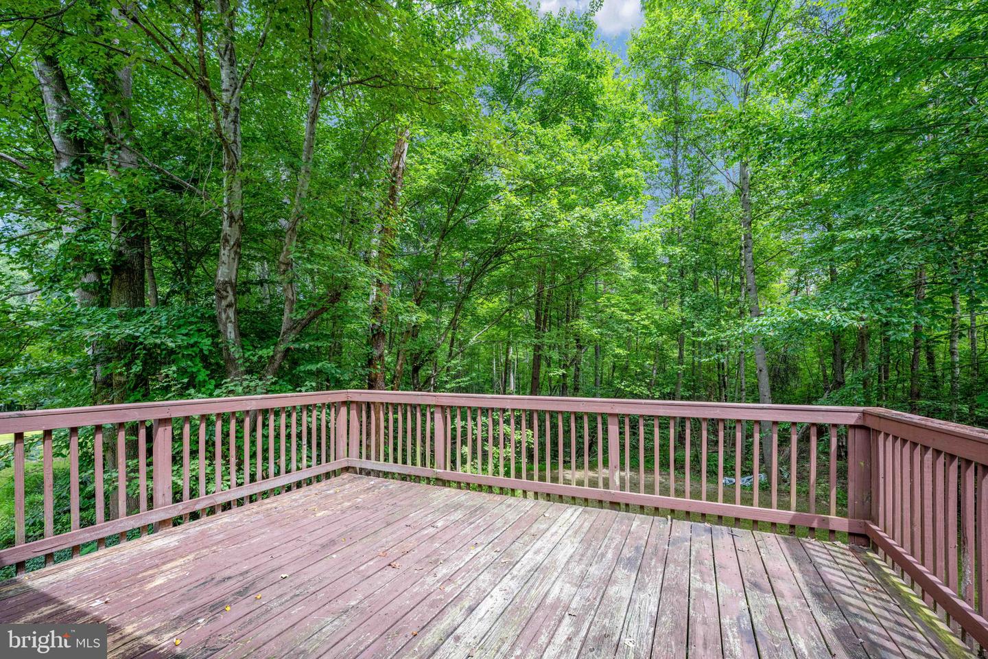 10747 FAUNTLEROY LN, SPOTSYLVANIA, Virginia 22551, 3 Bedrooms Bedrooms, ,2 BathroomsBathrooms,Residential,For sale,10747 FAUNTLEROY LN,VASP2035466 MLS # VASP2035466