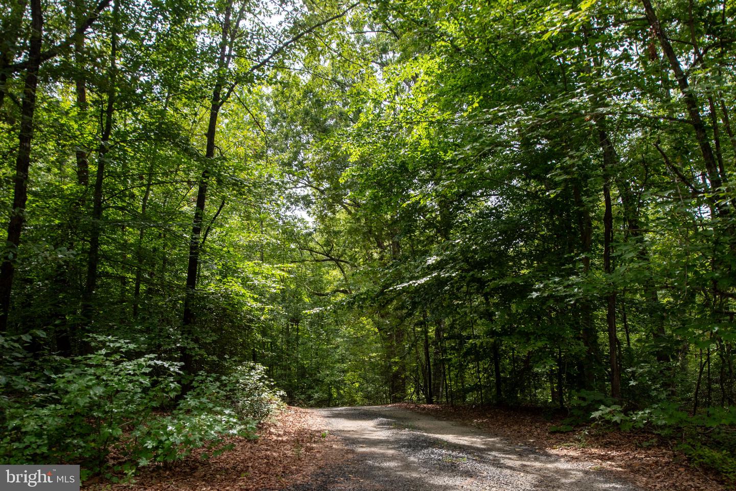 10747 FAUNTLEROY LN, SPOTSYLVANIA, Virginia 22551, 3 Bedrooms Bedrooms, ,2 BathroomsBathrooms,Residential,For sale,10747 FAUNTLEROY LN,VASP2035466 MLS # VASP2035466