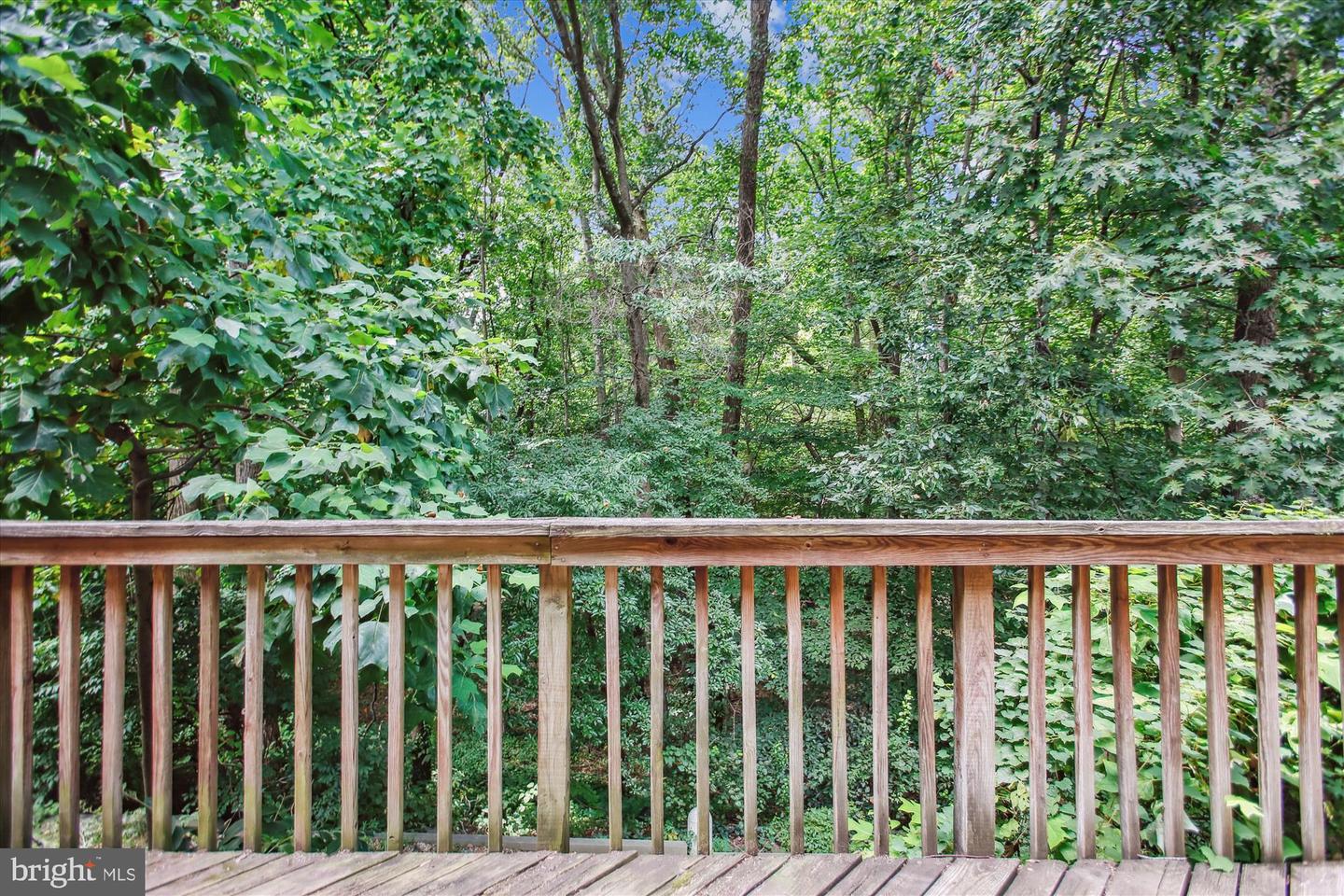 ALEXANDRIA, Virginia 22310, 4 Bedrooms Bedrooms, ,3 BathroomsBathrooms,Residential,For sale,VAFX2261620 MLS # VAFX2261620