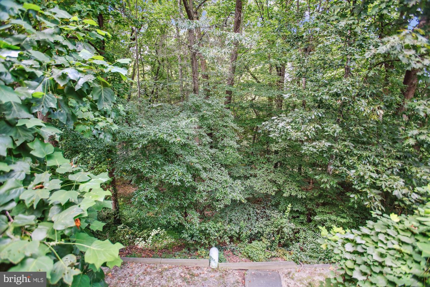 ALEXANDRIA, Virginia 22310, 4 Bedrooms Bedrooms, ,3 BathroomsBathrooms,Residential,For sale,VAFX2261620 MLS # VAFX2261620