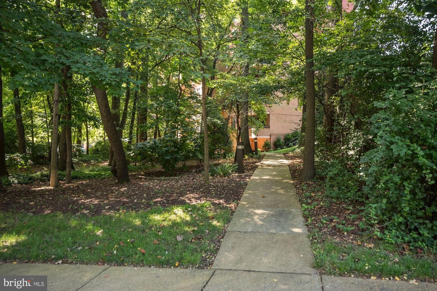 2230 GEORGE C MARSHALL DR #515, FALLS CHURCH, Virginia 22043, 2 Bedrooms Bedrooms, 9 Rooms Rooms,2 BathroomsBathrooms,Residential,For sale,2230 GEORGE C MARSHALL DR #515,VAFX2261722 MLS # VAFX2261722