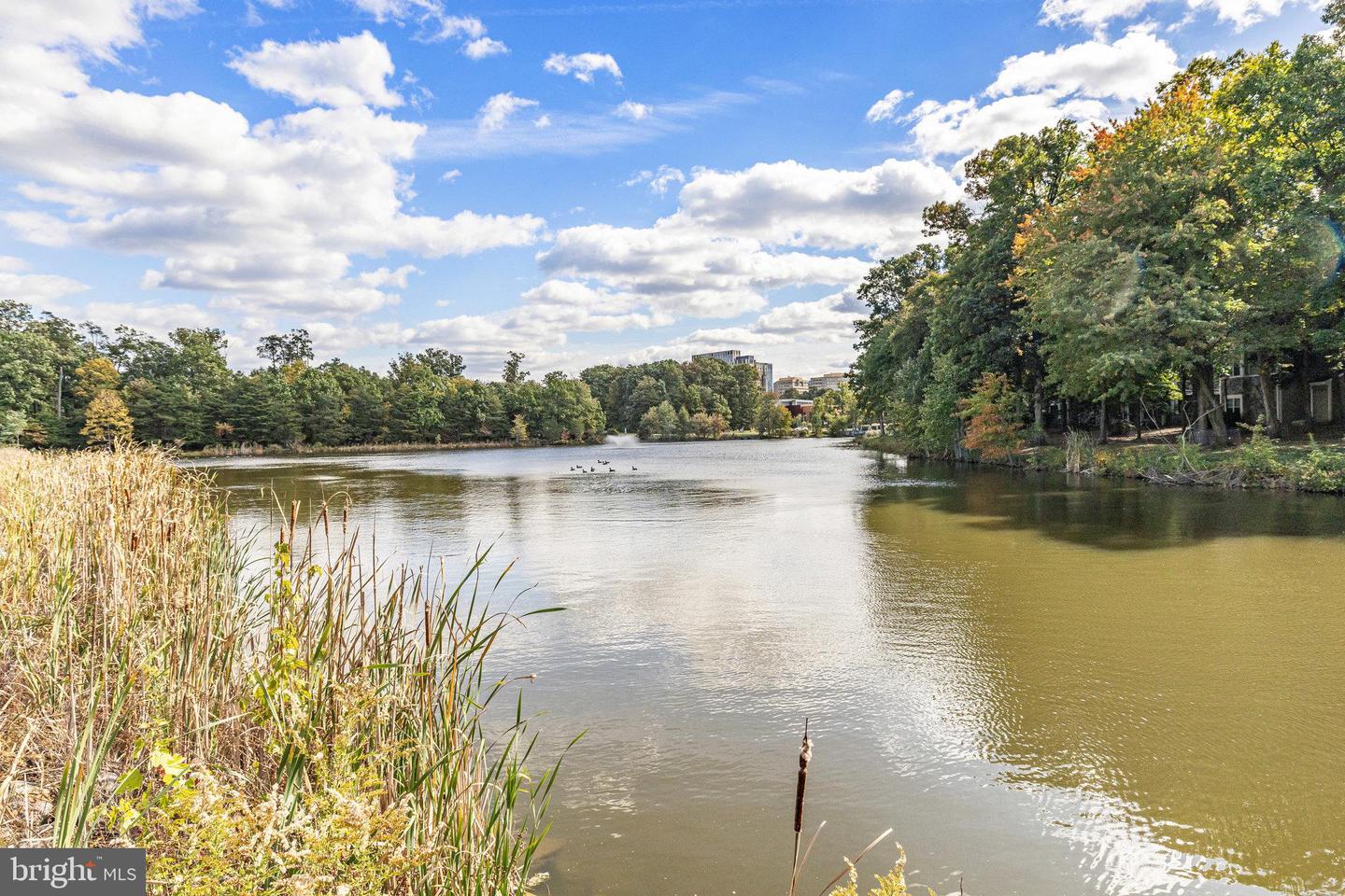 1700 LAKE SHORE CREST DR #16, RESTON, Virginia 20190, 2 Bedrooms Bedrooms, ,2 BathroomsBathrooms,Residential,For sale,1700 LAKE SHORE CREST DR #16,VAFX2261726 MLS # VAFX2261726
