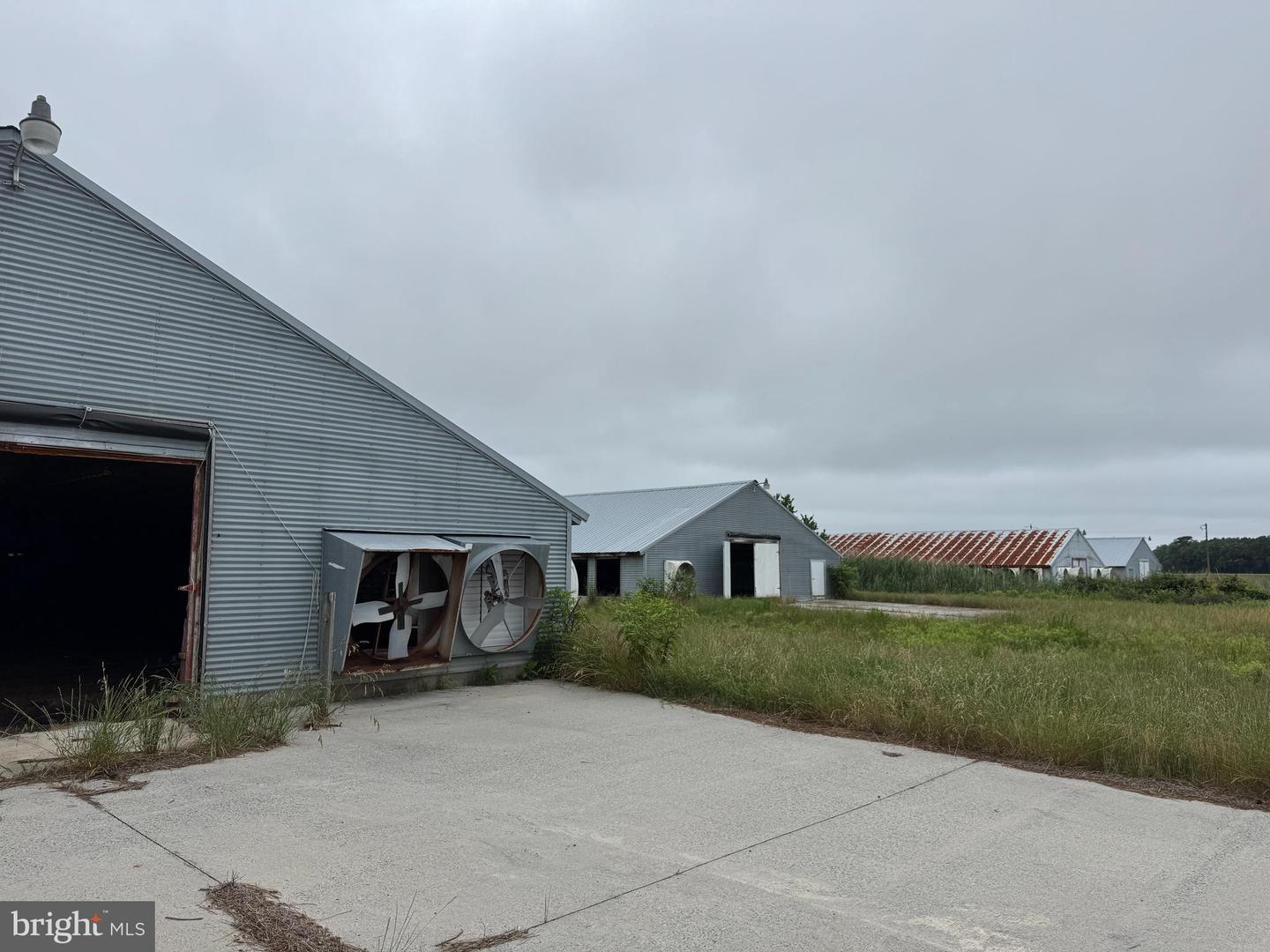 7193 BULLBEGGER RD, WITHAMS, Virginia 23488, ,Farm,For sale,7193 BULLBEGGER RD,VAAC2002170 MLS # VAAC2002170