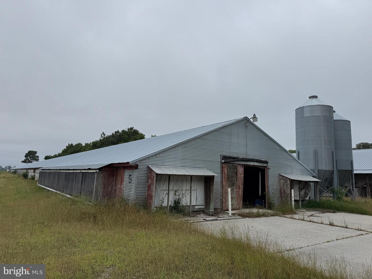 7193 BULLBEGGER RD, WITHAMS, Virginia 23488, ,Farm,For sale,7193 BULLBEGGER RD,VAAC2002170 MLS # VAAC2002170