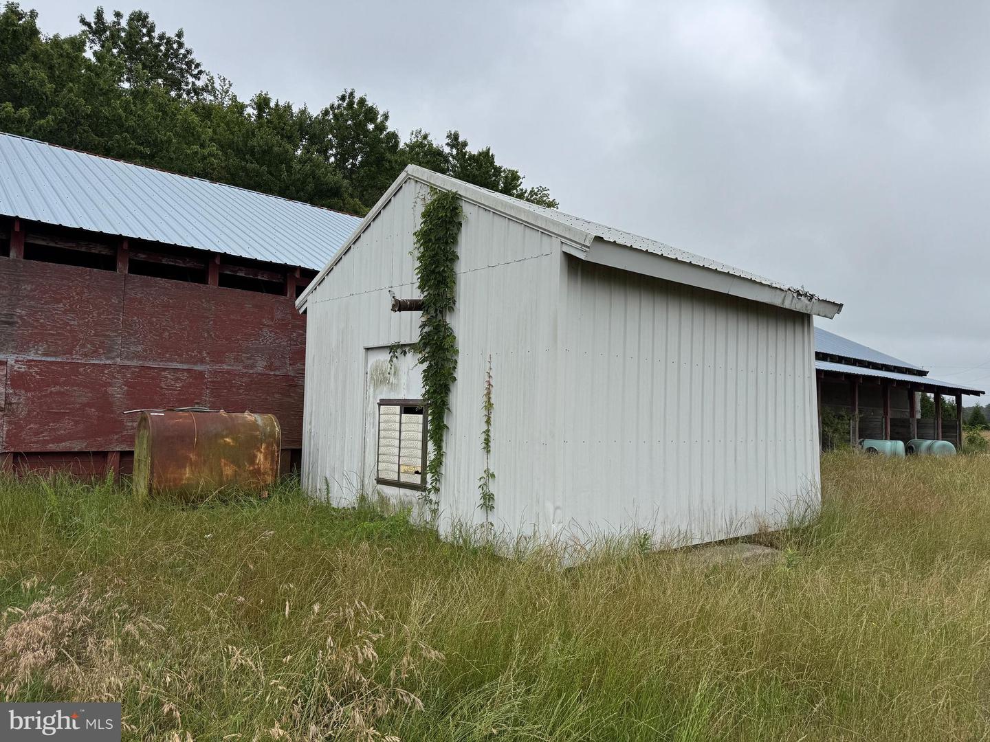 7193 BULLBEGGER RD, WITHAMS, Virginia 23488, ,Farm,For sale,7193 BULLBEGGER RD,VAAC2002170 MLS # VAAC2002170