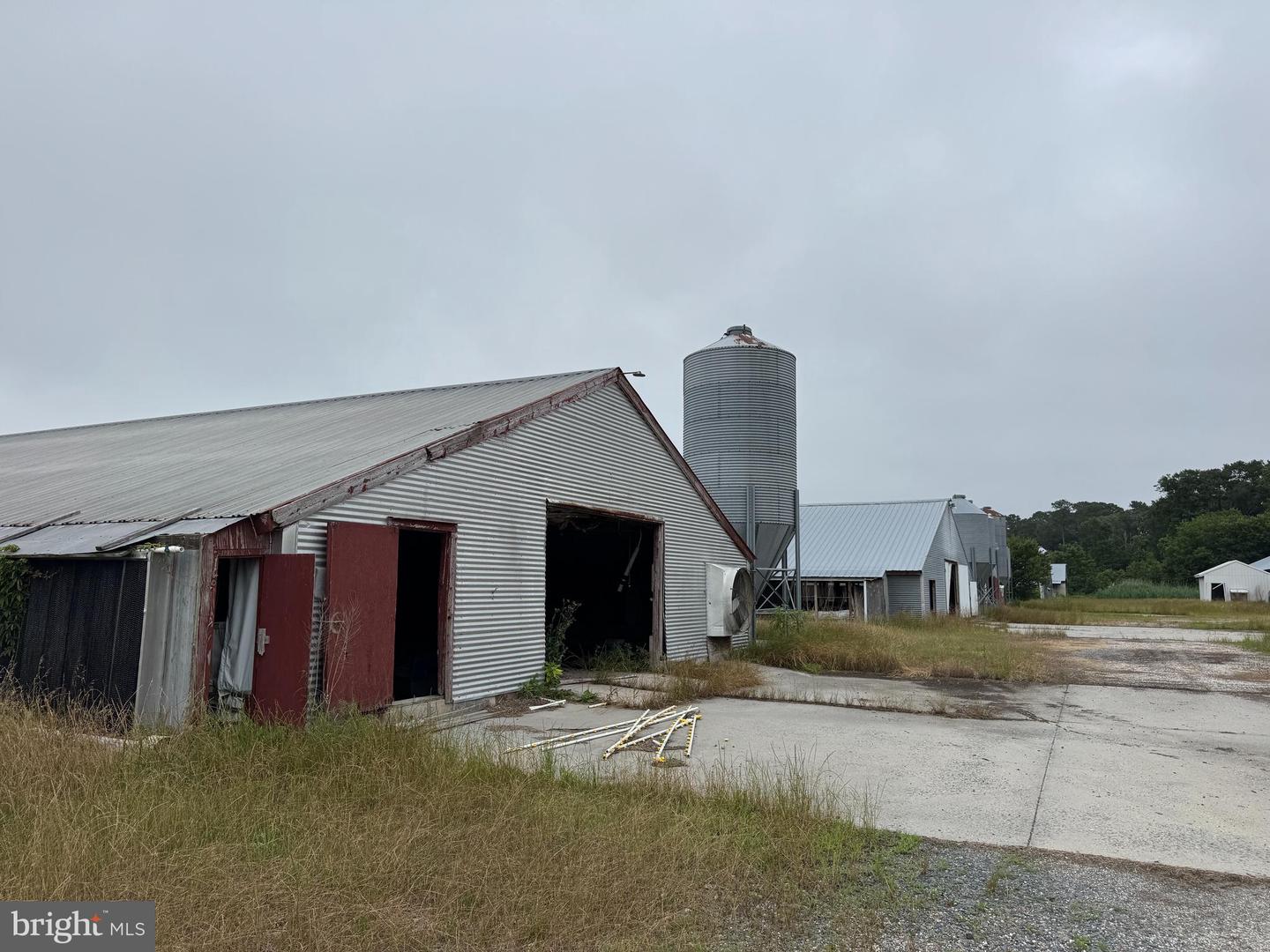 7193 BULLBEGGER RD, WITHAMS, Virginia 23488, ,Farm,For sale,7193 BULLBEGGER RD,VAAC2002170 MLS # VAAC2002170