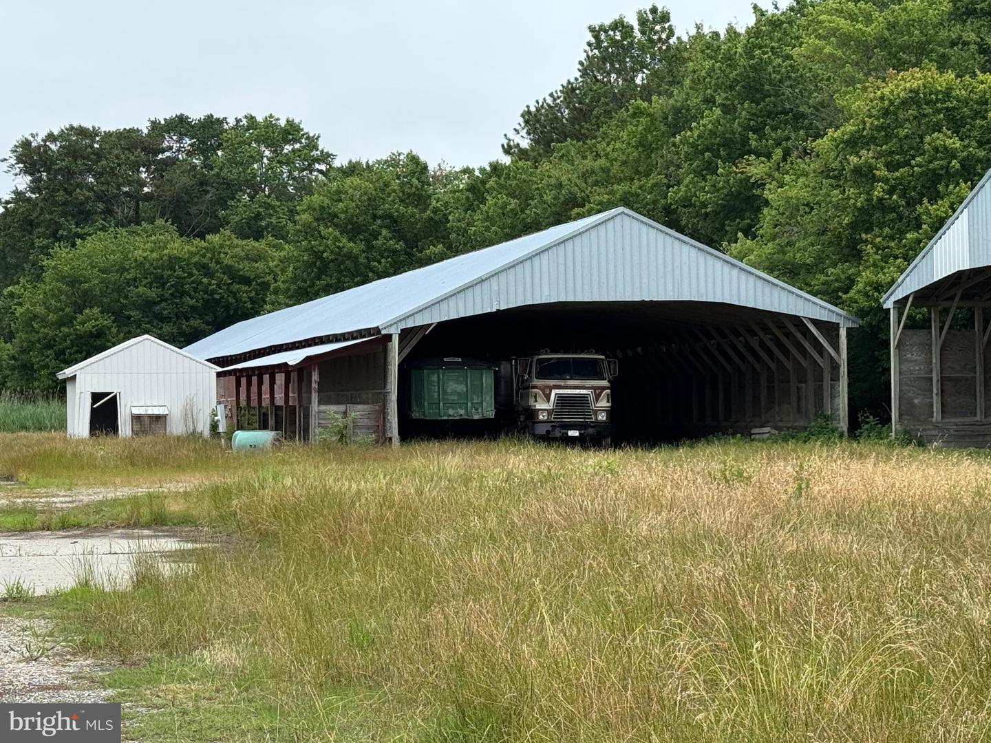 7193 BULLBEGGER RD, WITHAMS, Virginia 23488, ,Farm,For sale,7193 BULLBEGGER RD,VAAC2002170 MLS # VAAC2002170
