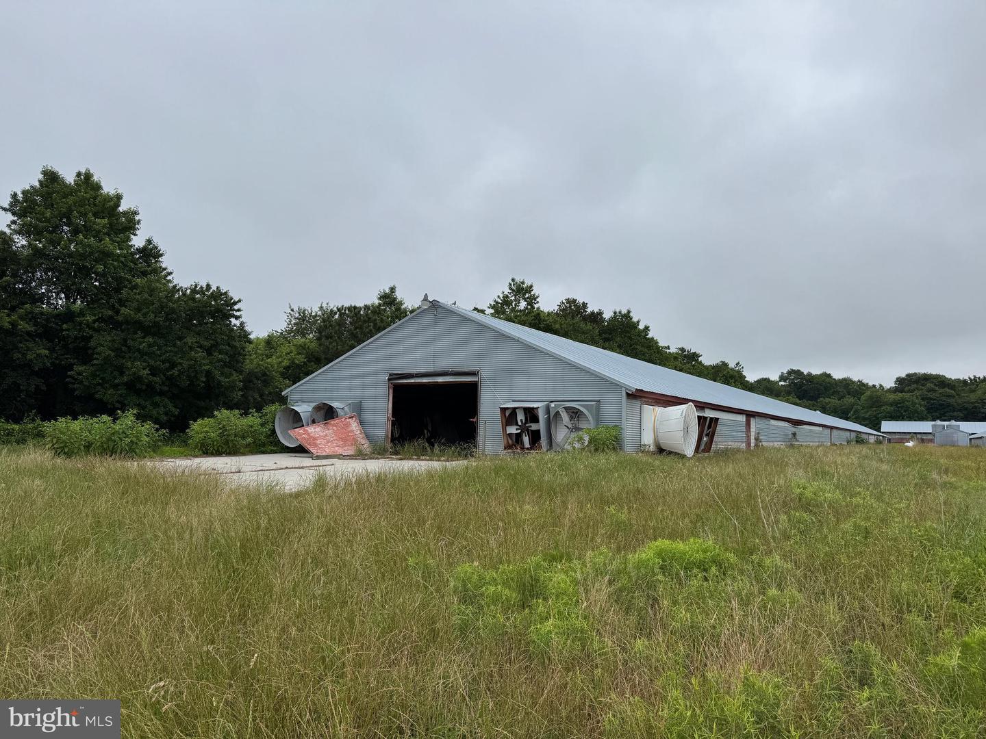 7193 BULLBEGGER RD, WITHAMS, Virginia 23488, ,Farm,For sale,7193 BULLBEGGER RD,VAAC2002170 MLS # VAAC2002170
