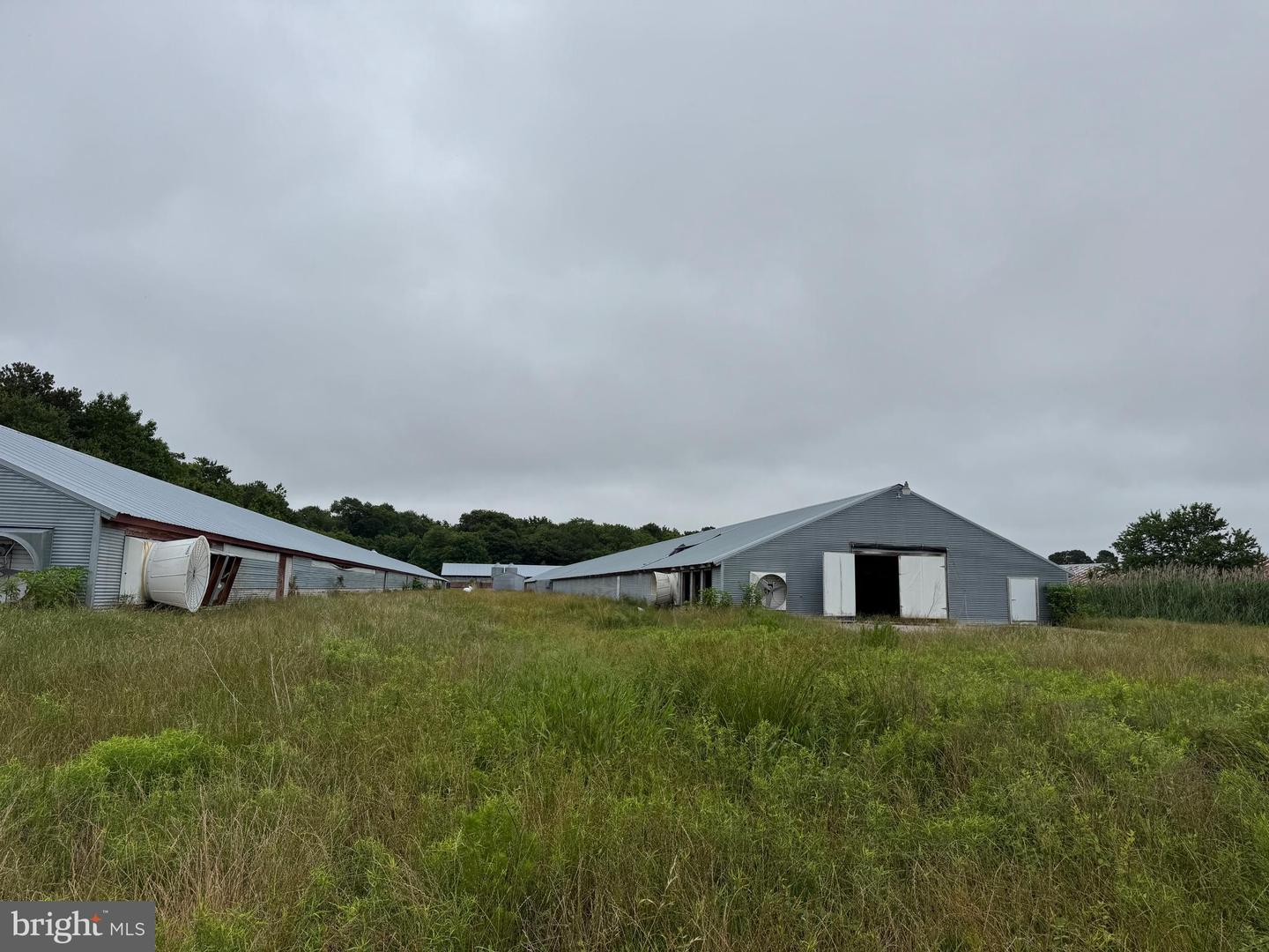 7193 BULLBEGGER RD, WITHAMS, Virginia 23488, ,Farm,For sale,7193 BULLBEGGER RD,VAAC2002170 MLS # VAAC2002170