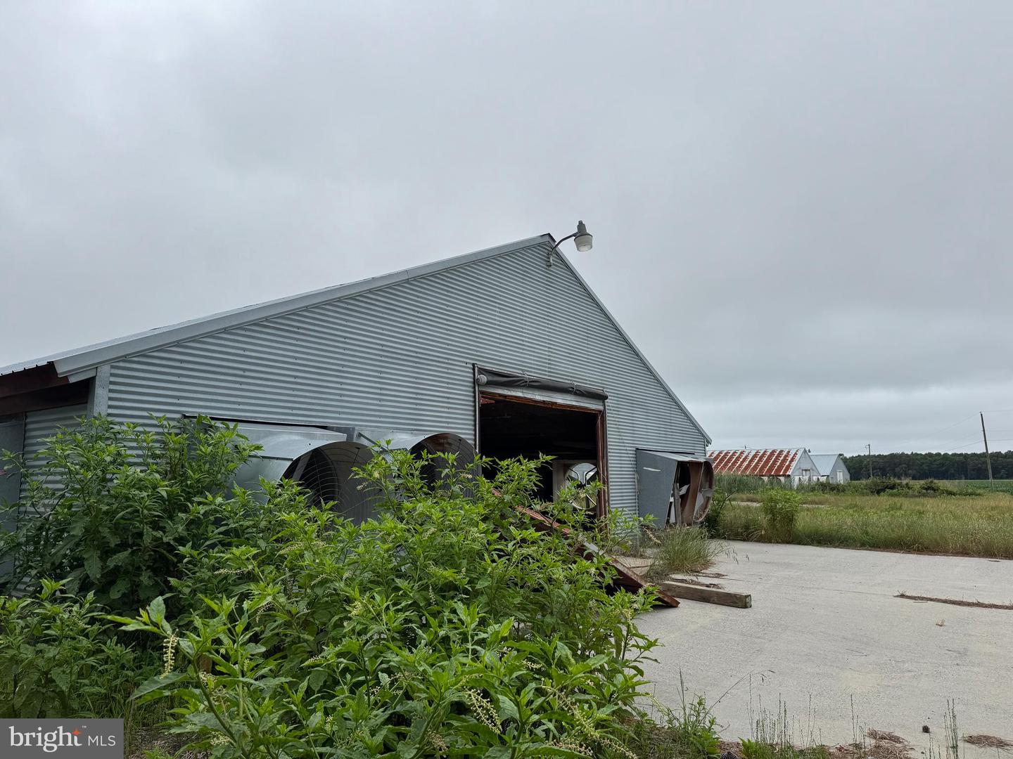 7193 BULLBEGGER RD, WITHAMS, Virginia 23488, ,Farm,For sale,7193 BULLBEGGER RD,VAAC2002170 MLS # VAAC2002170