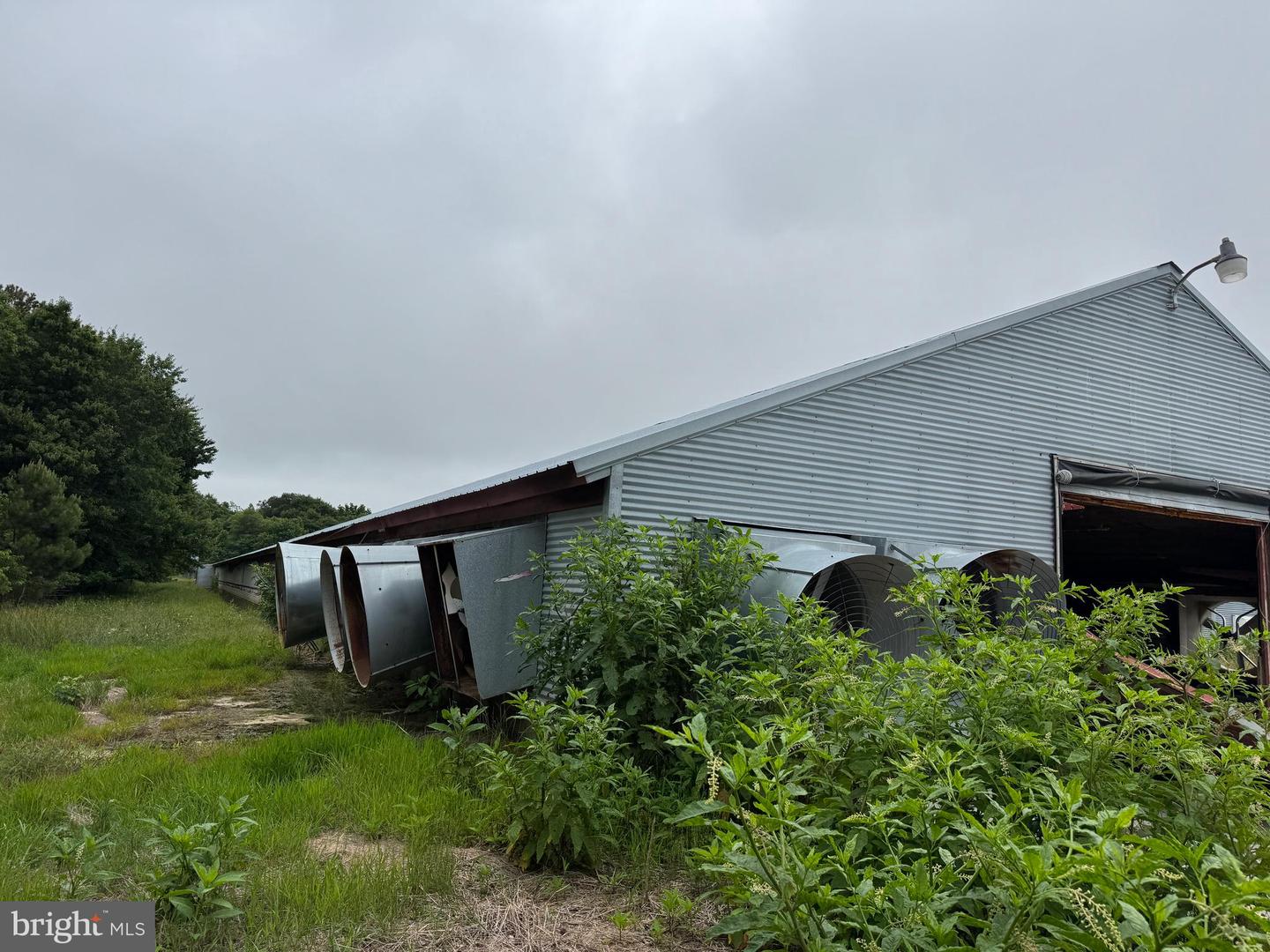 7193 BULLBEGGER RD, WITHAMS, Virginia 23488, ,Farm,For sale,7193 BULLBEGGER RD,VAAC2002170 MLS # VAAC2002170
