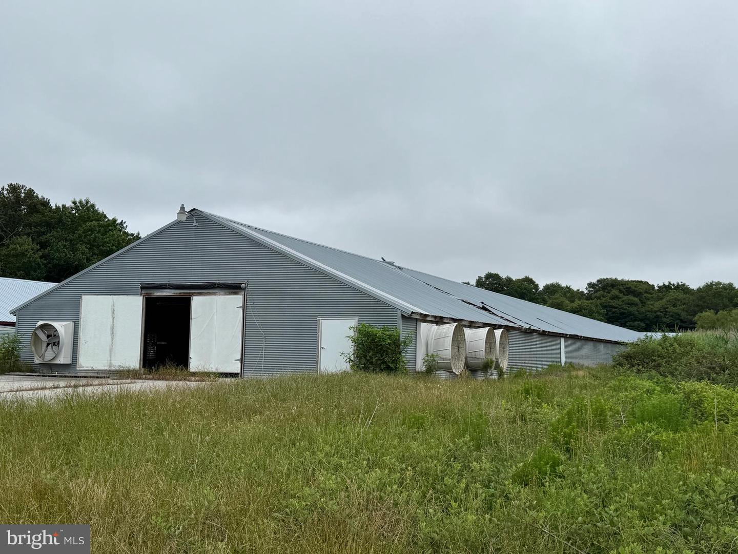 7193 BULLBEGGER RD, WITHAMS, Virginia 23488, ,Farm,For sale,7193 BULLBEGGER RD,VAAC2002170 MLS # VAAC2002170