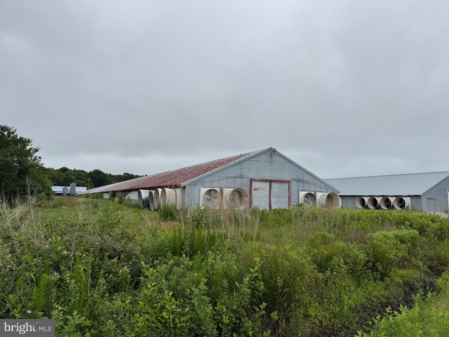 7193 BULLBEGGER RD, WITHAMS, Virginia 23488, ,Farm,For sale,7193 BULLBEGGER RD,VAAC2002170 MLS # VAAC2002170