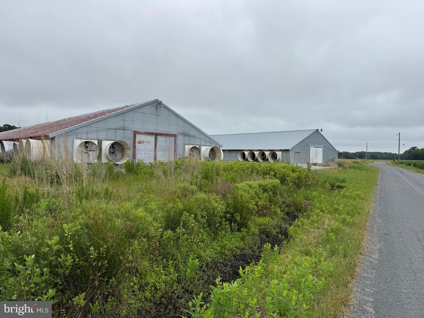 7193 BULLBEGGER RD, WITHAMS, Virginia 23488, ,Farm,For sale,7193 BULLBEGGER RD,VAAC2002170 MLS # VAAC2002170