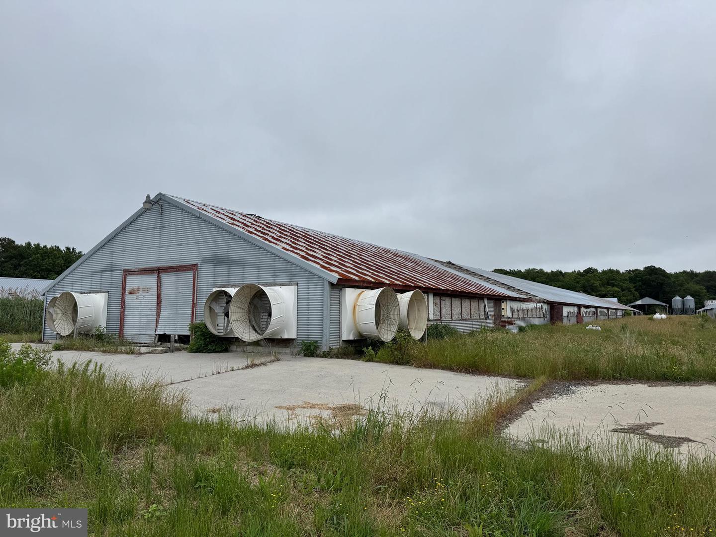 7193 BULLBEGGER RD, WITHAMS, Virginia 23488, ,Farm,For sale,7193 BULLBEGGER RD,VAAC2002170 MLS # VAAC2002170
