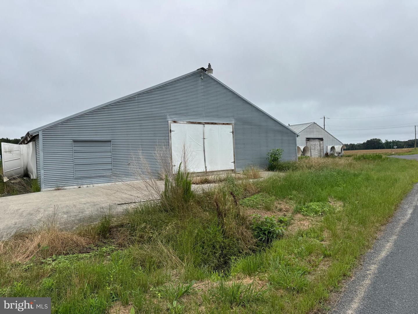 7193 BULLBEGGER RD, WITHAMS, Virginia 23488, ,Farm,For sale,7193 BULLBEGGER RD,VAAC2002170 MLS # VAAC2002170
