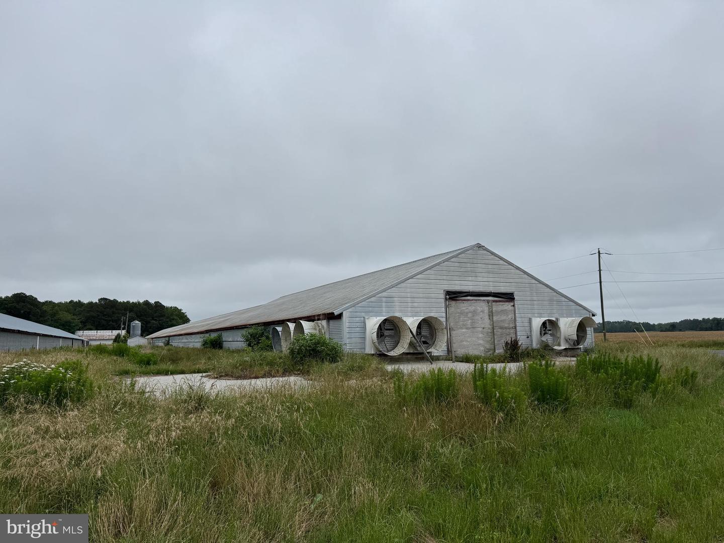 7193 BULLBEGGER RD, WITHAMS, Virginia 23488, ,Farm,For sale,7193 BULLBEGGER RD,VAAC2002170 MLS # VAAC2002170