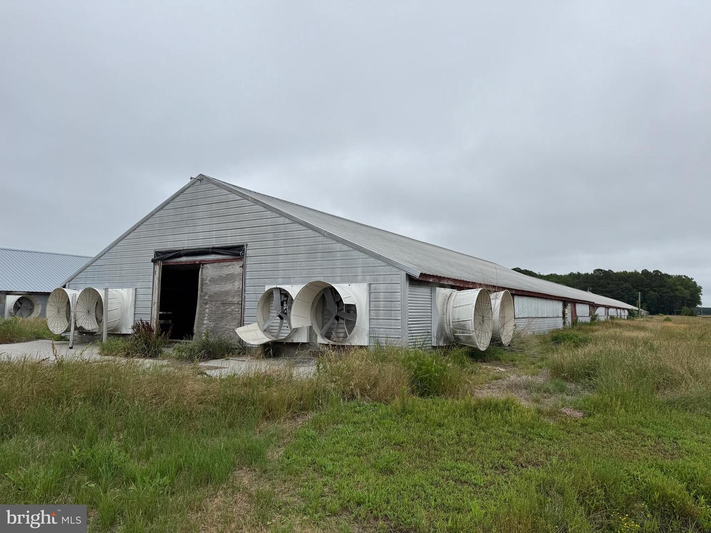 7193 BULLBEGGER RD, WITHAMS, Virginia 23488, ,Farm,For sale,7193 BULLBEGGER RD,VAAC2002170 MLS # VAAC2002170