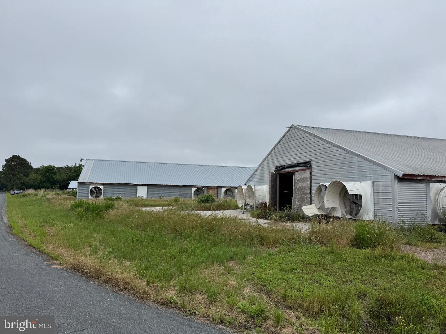 7193 BULLBEGGER RD, WITHAMS, Virginia 23488, ,Farm,For sale,7193 BULLBEGGER RD,VAAC2002170 MLS # VAAC2002170