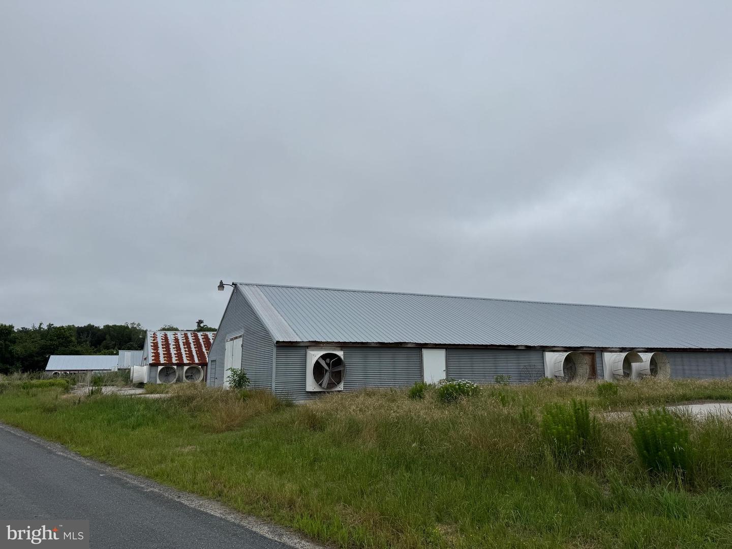 7193 BULLBEGGER RD, WITHAMS, Virginia 23488, ,Farm,For sale,7193 BULLBEGGER RD,VAAC2002170 MLS # VAAC2002170