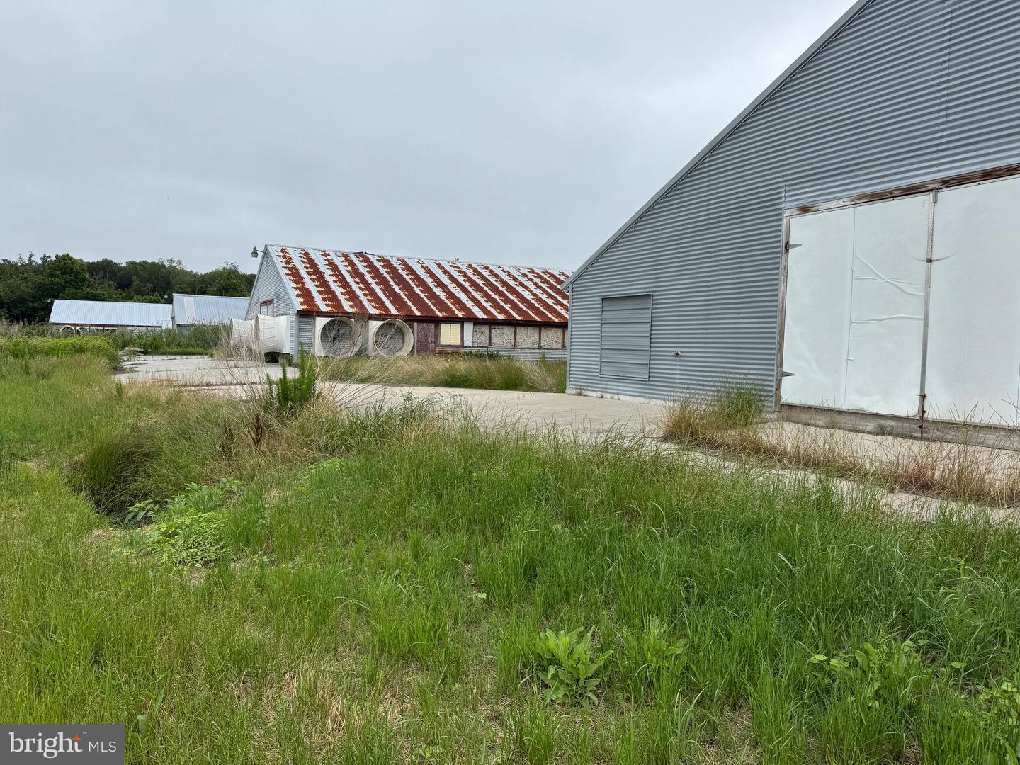 7193 BULLBEGGER RD, WITHAMS, Virginia 23488, ,Farm,For sale,7193 BULLBEGGER RD,VAAC2002170 MLS # VAAC2002170
