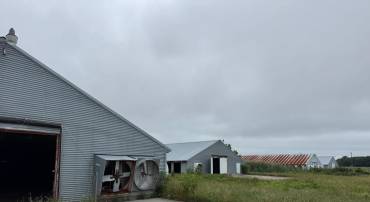 7193 BULLBEGGER RD, WITHAMS, Virginia 23488, ,Farm,For sale,7193 BULLBEGGER RD,VAAC2002170 MLS # VAAC2002170