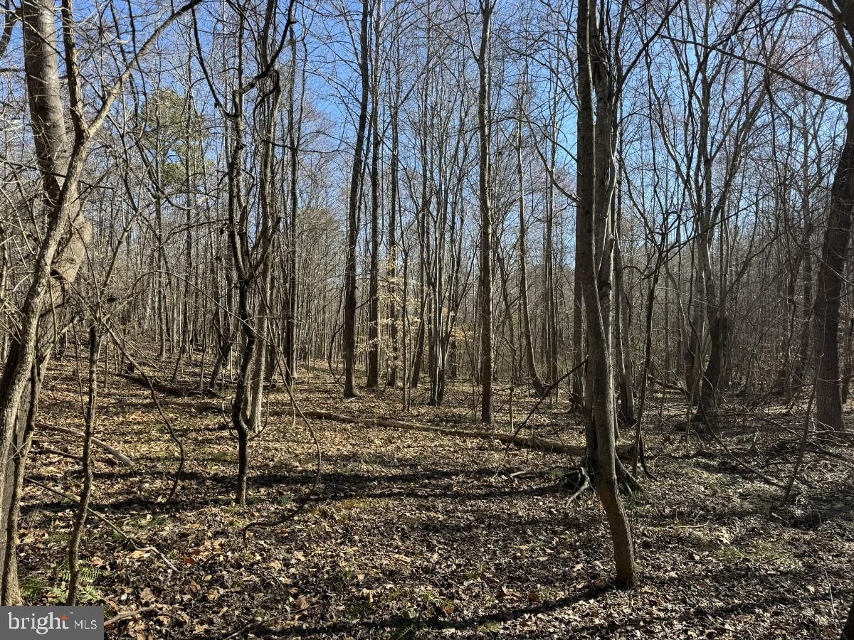 0 SUTPHIN RD, SOUTH BOSTON, Virginia 24592, ,Land,For sale,0 SUTPHIN RD,VAHX2000092 MLS # VAHX2000092