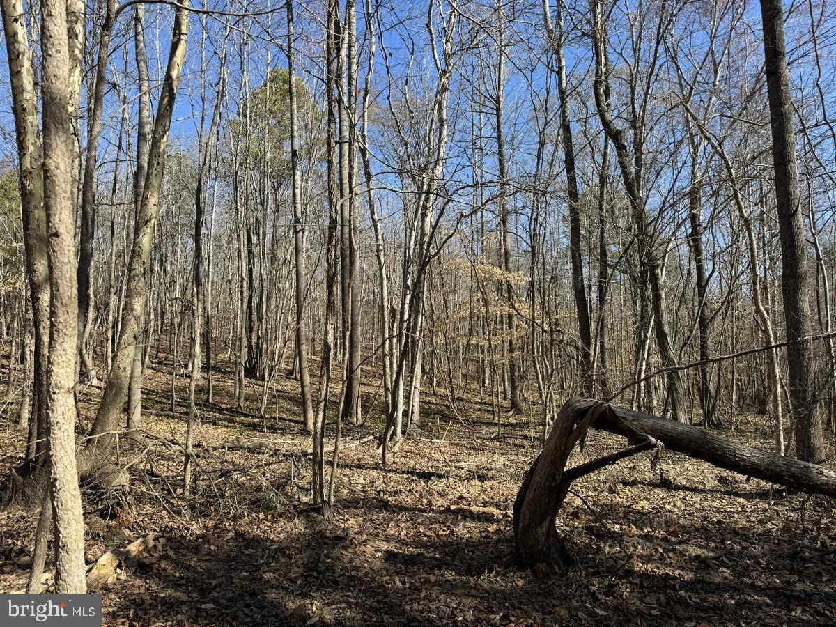 0 SUTPHIN RD, SOUTH BOSTON, Virginia 24592, ,Land,For sale,0 SUTPHIN RD,VAHX2000092 MLS # VAHX2000092