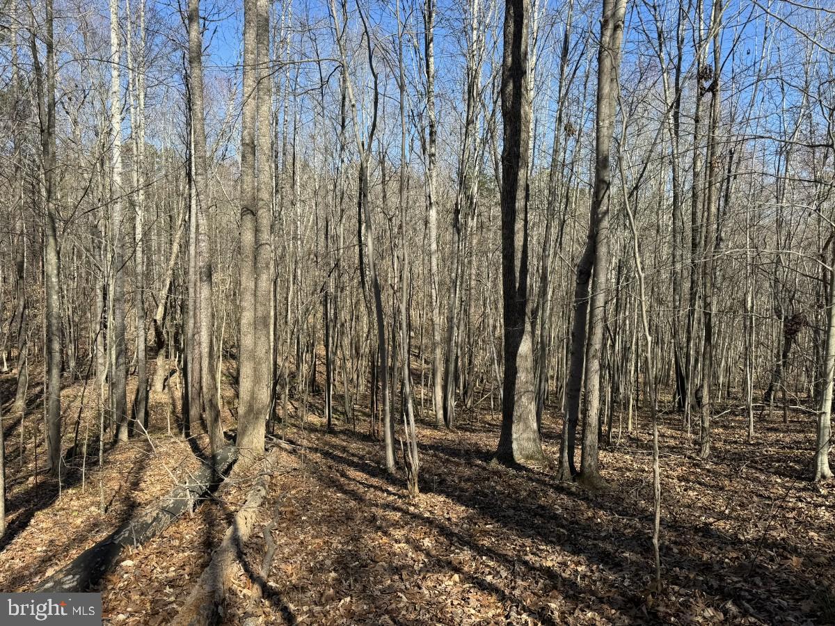 0 SUTPHIN RD, SOUTH BOSTON, Virginia 24592, ,Land,For sale,0 SUTPHIN RD,VAHX2000092 MLS # VAHX2000092