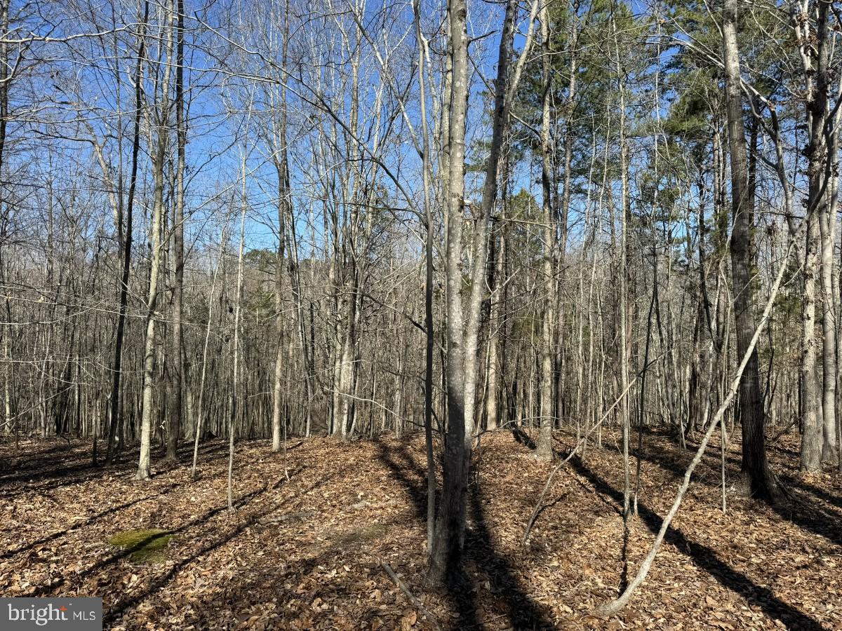0 SUTPHIN RD, SOUTH BOSTON, Virginia 24592, ,Land,For sale,0 SUTPHIN RD,VAHX2000092 MLS # VAHX2000092