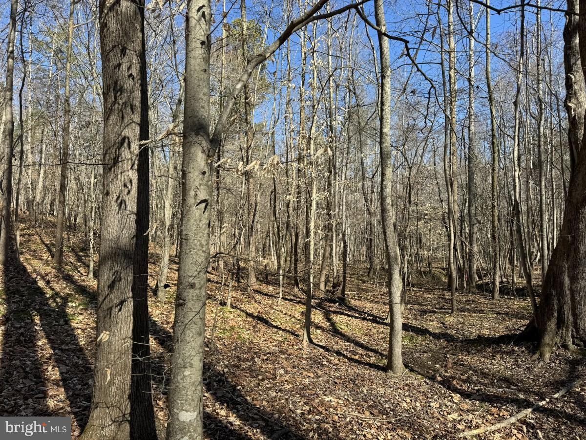 0 SUTPHIN RD, SOUTH BOSTON, Virginia 24592, ,Land,For sale,0 SUTPHIN RD,VAHX2000092 MLS # VAHX2000092