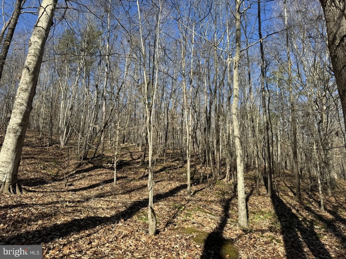 0 SUTPHIN RD, SOUTH BOSTON, Virginia 24592, ,Land,For sale,0 SUTPHIN RD,VAHX2000092 MLS # VAHX2000092