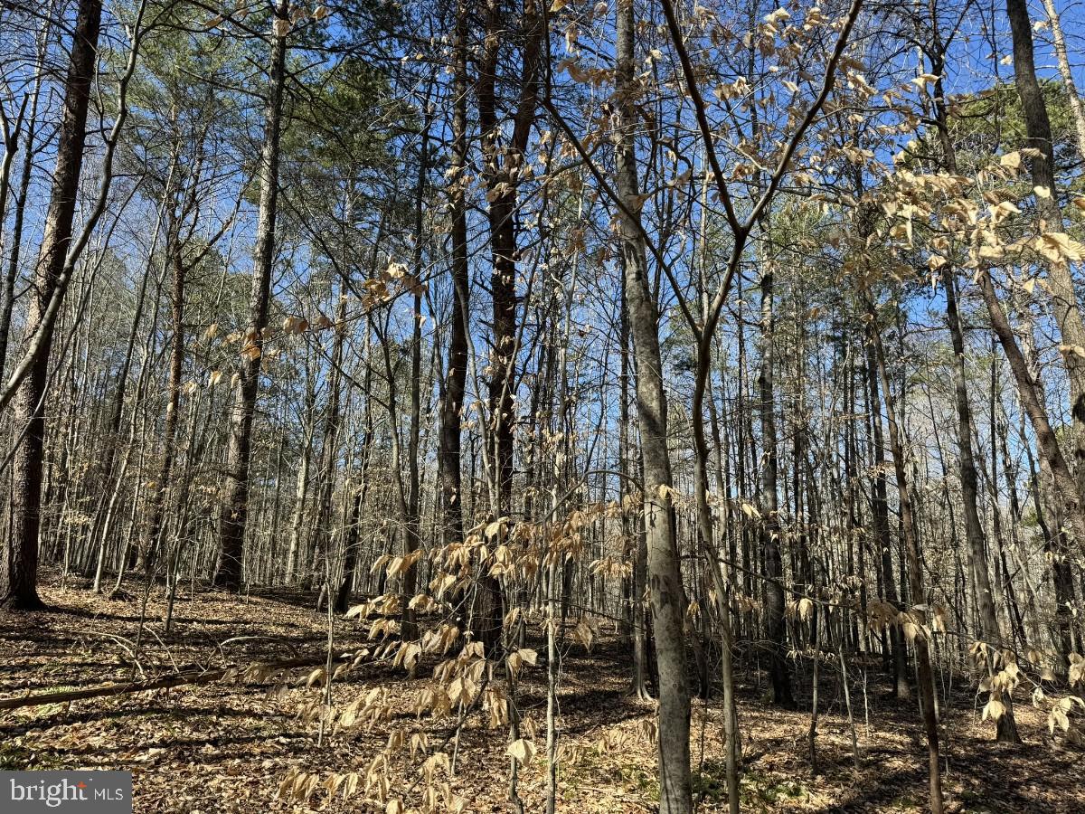 0 SUTPHIN RD, SOUTH BOSTON, Virginia 24592, ,Land,For sale,0 SUTPHIN RD,VAHX2000092 MLS # VAHX2000092