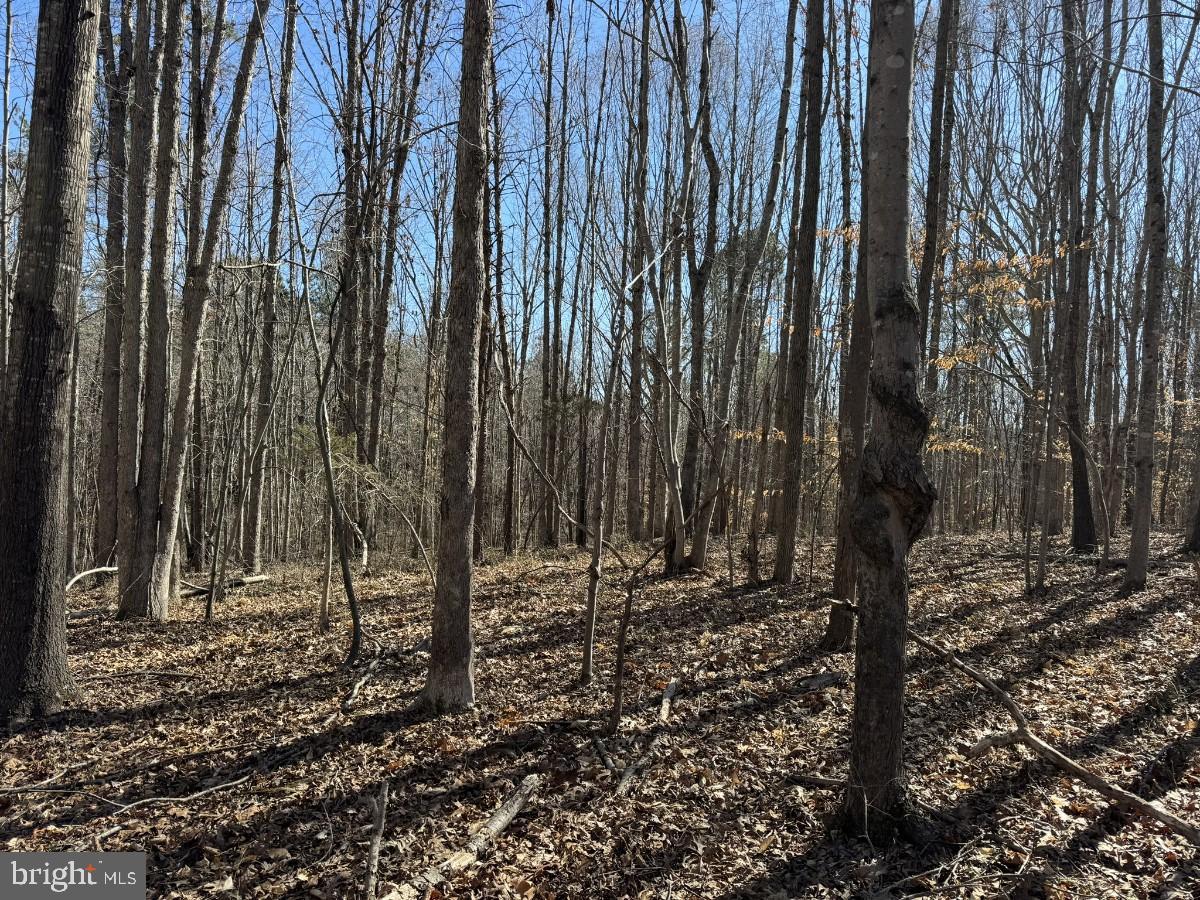 0 SUTPHIN RD, SOUTH BOSTON, Virginia 24592, ,Land,For sale,0 SUTPHIN RD,VAHX2000092 MLS # VAHX2000092