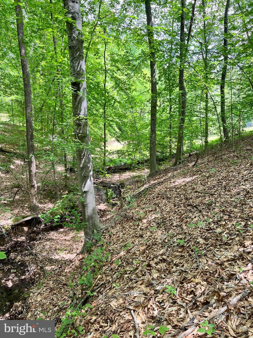 LOT 22 LONG BRANCH LN, STAFFORD, Virginia 22556, ,Land,For sale,LOT 22 LONG BRANCH LN,VAST2039196 MLS # VAST2039196