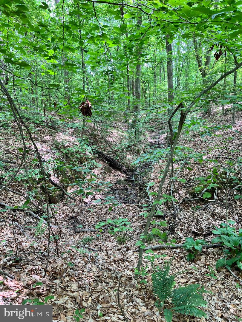 LOT 22 LONG BRANCH LN, STAFFORD, Virginia 22556, ,Land,For sale,LOT 22 LONG BRANCH LN,VAST2039196 MLS # VAST2039196