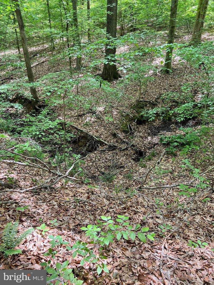 LOT 22 LONG BRANCH LN, STAFFORD, Virginia 22556, ,Land,For sale,LOT 22 LONG BRANCH LN,VAST2039196 MLS # VAST2039196