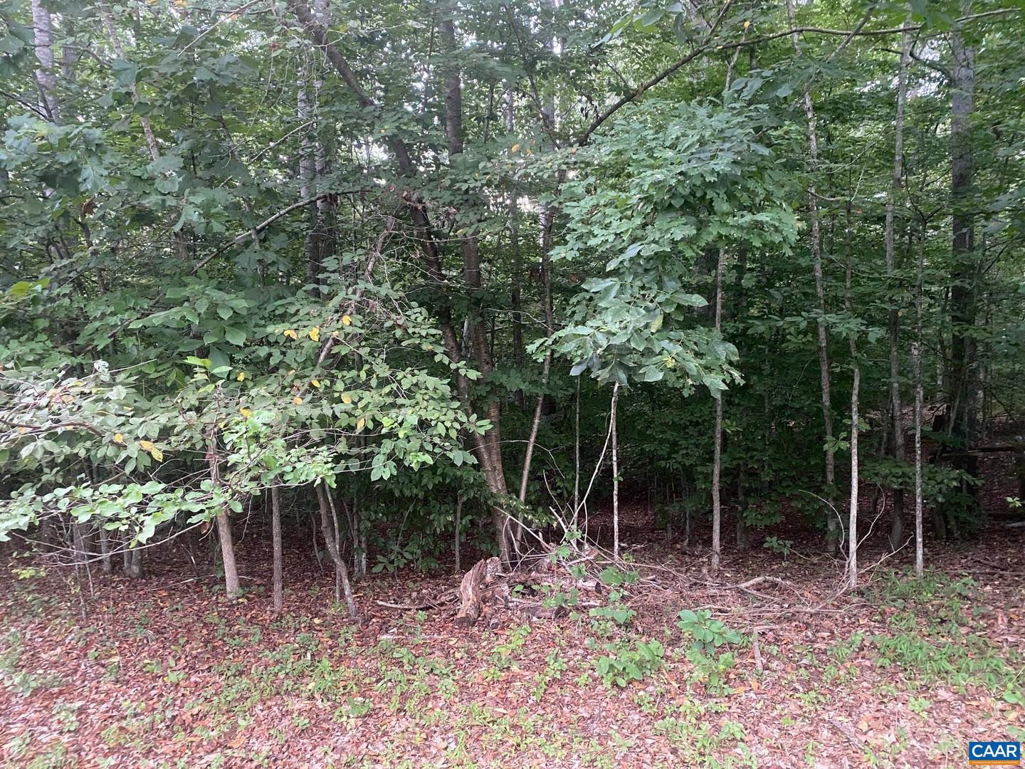 ARLANDA LN, CHARLOTTESVILLE, Virginia 22911, ,Land,For sale,ARLANDA LN,667939 MLS # 667939