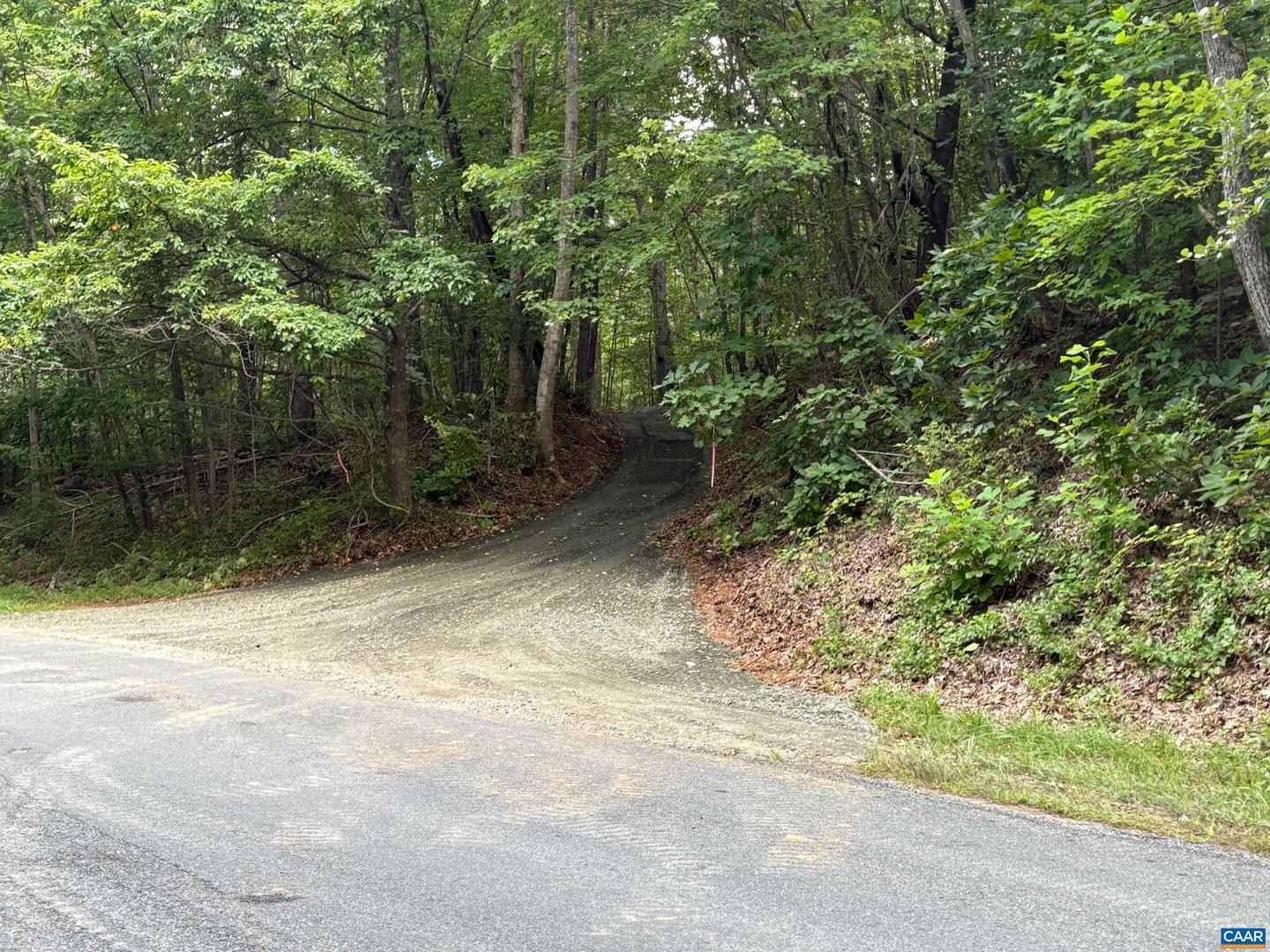 TM 42-1C BEAHM TOWN RD #1C, CULPEPER, Virginia 22701, ,Land,For sale,TM 42-1C BEAHM TOWN RD #1C,667942 MLS # 667942