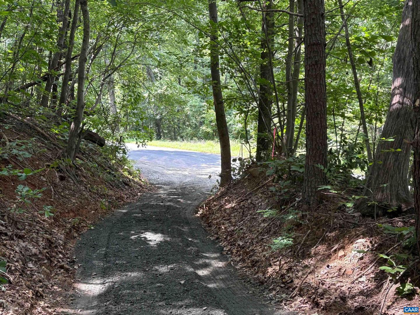 TM 42-1C BEAHM TOWN RD #1C, CULPEPER, Virginia 22701, ,Land,For sale,TM 42-1C BEAHM TOWN RD #1C,667942 MLS # 667942