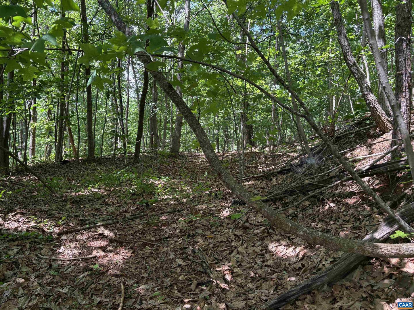 TM 42-1C BEAHM TOWN RD #1C, CULPEPER, Virginia 22701, ,Land,For sale,TM 42-1C BEAHM TOWN RD #1C,667942 MLS # 667942