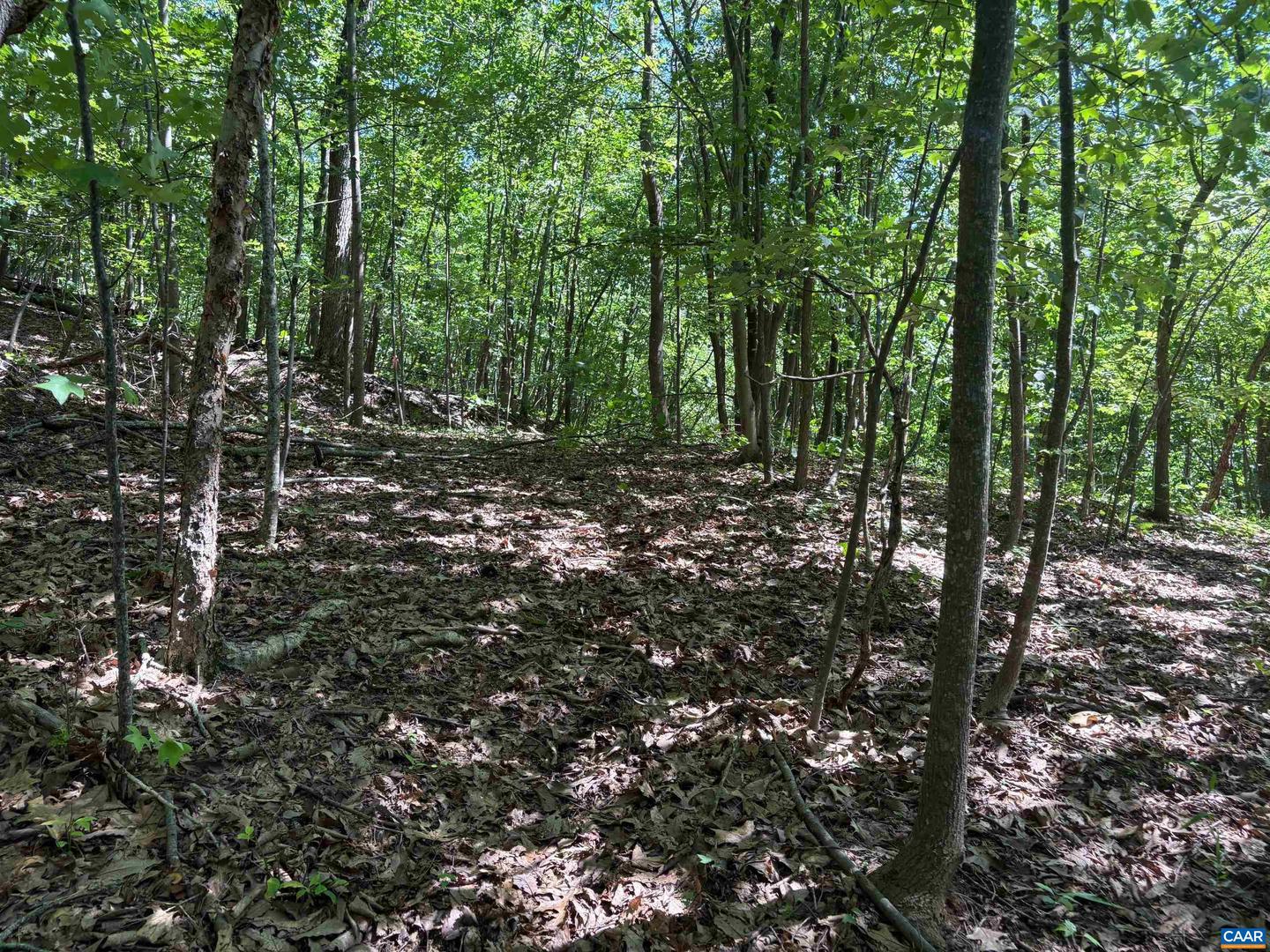 TM 42-1C BEAHM TOWN RD #1C, CULPEPER, Virginia 22701, ,Land,For sale,TM 42-1C BEAHM TOWN RD #1C,667942 MLS # 667942