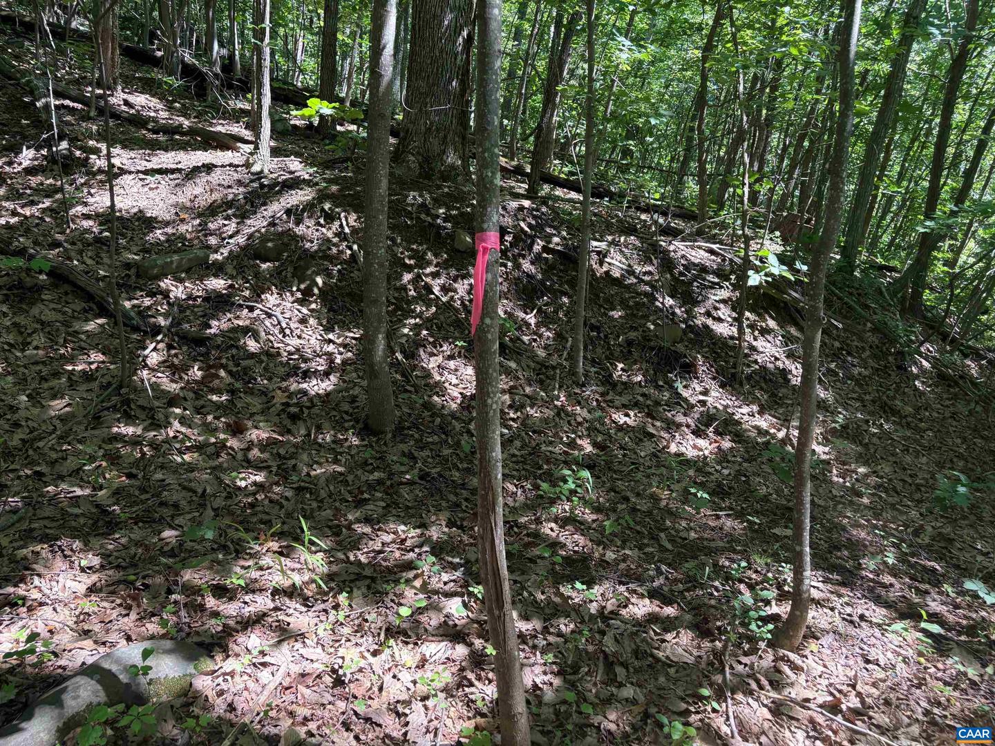 TM 42-1C BEAHM TOWN RD #1C, CULPEPER, Virginia 22701, ,Land,For sale,TM 42-1C BEAHM TOWN RD #1C,667942 MLS # 667942