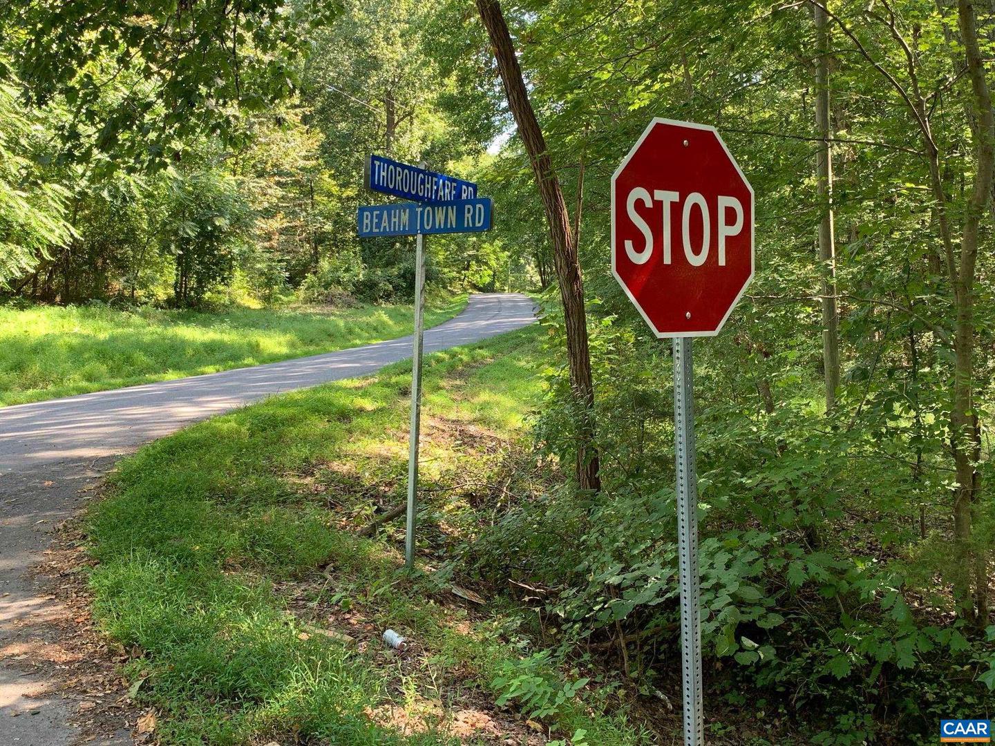 TM 42-1C BEAHM TOWN RD #1C, CULPEPER, Virginia 22701, ,Land,For sale,TM 42-1C BEAHM TOWN RD #1C,667942 MLS # 667942