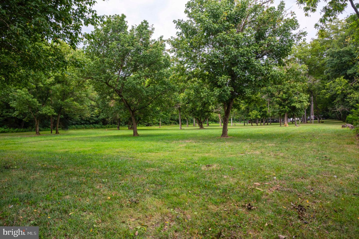 0 (LOT 27) BURMA RD, FRONT ROYAL, Virginia 22630, ,Land,For sale,0 (LOT 27) BURMA RD,VAWR2011994 MLS # VAWR2011994
