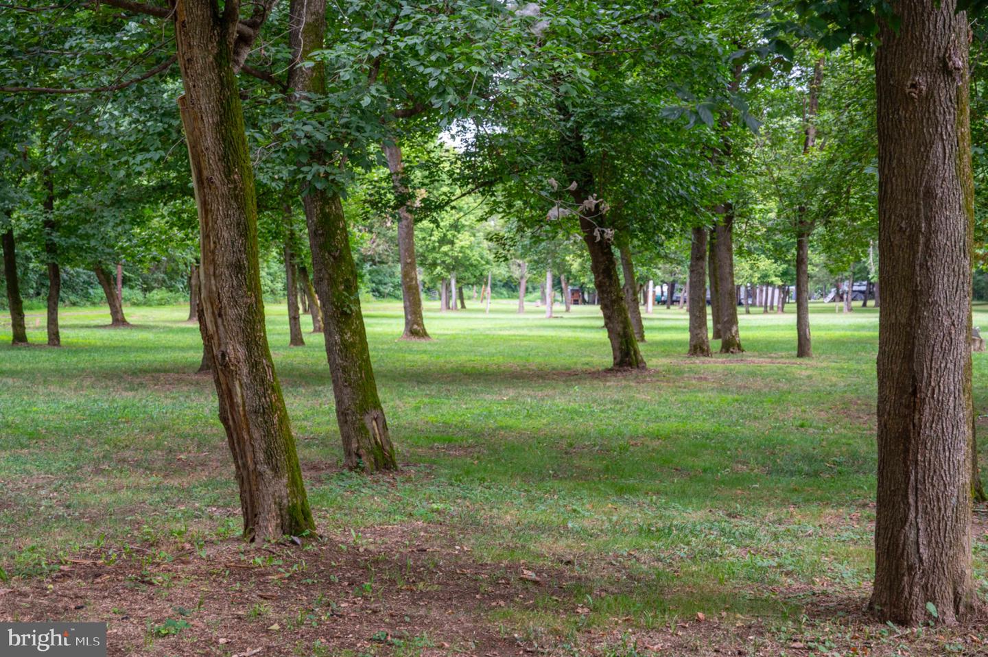 0 (LOT 27) BURMA RD, FRONT ROYAL, Virginia 22630, ,Land,For sale,0 (LOT 27) BURMA RD,VAWR2011994 MLS # VAWR2011994