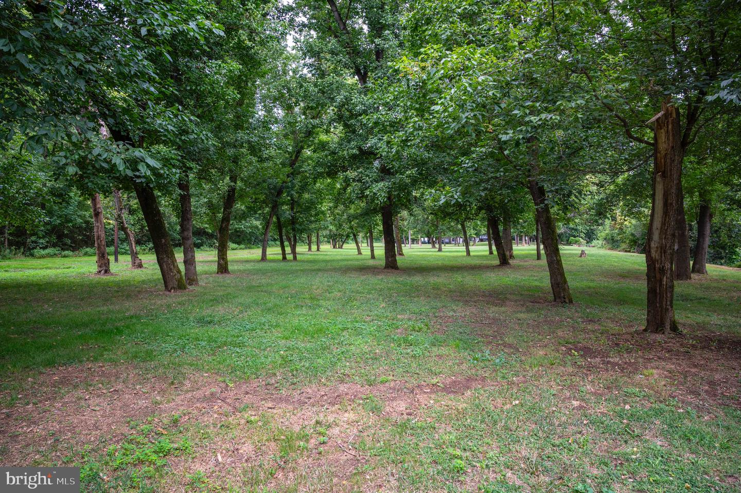 0 (LOT 29) BURMA RD, FRONT ROYAL, Virginia 22630, ,Land,For sale,0 (LOT 29) BURMA RD,VAWR2011998 MLS # VAWR2011998