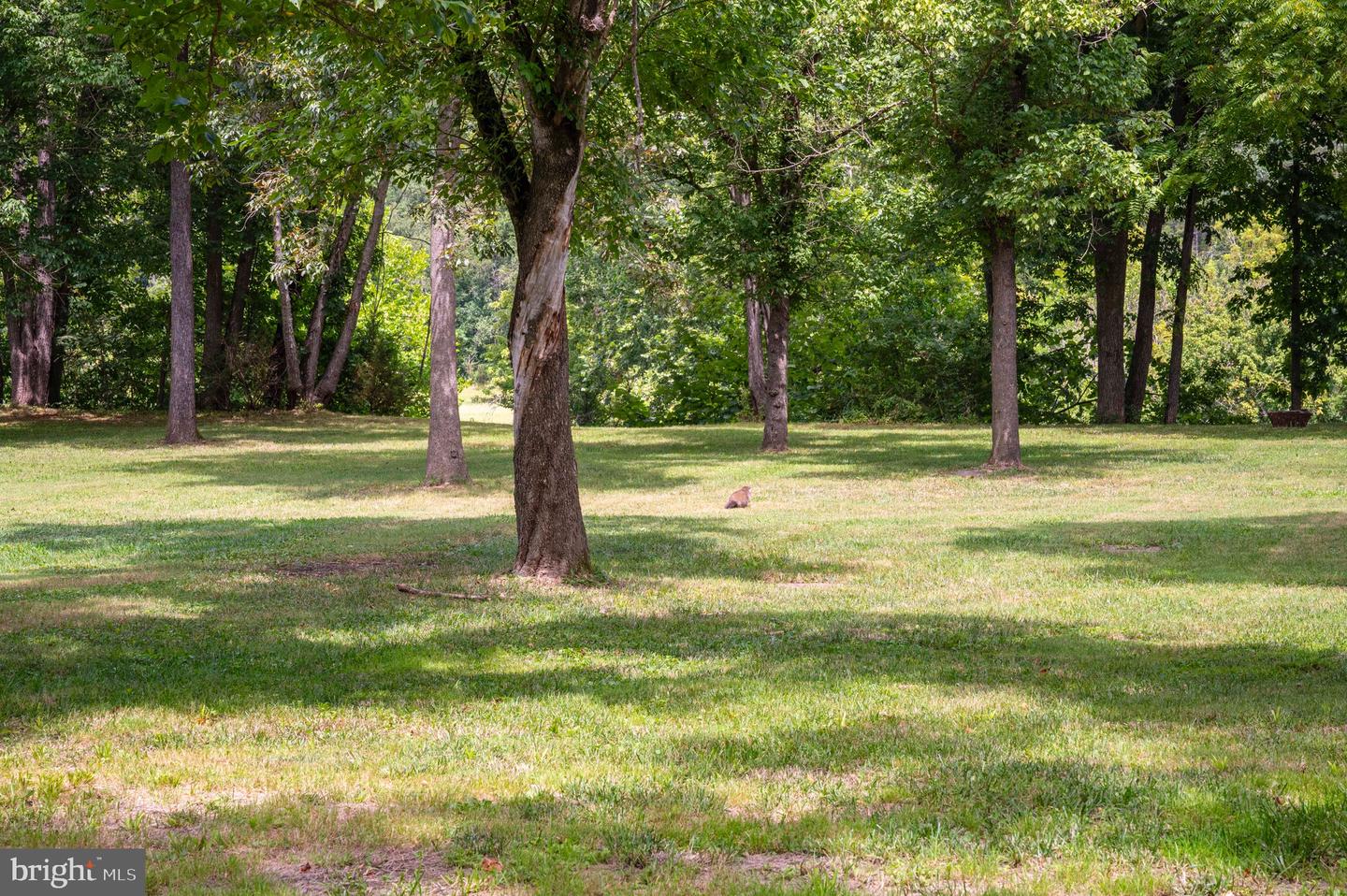 0 (LOT 30) BURMA RD, FRONT ROYAL, Virginia 22630, ,Land,For sale,0 (LOT 30) BURMA RD,VAWR2012000 MLS # VAWR2012000