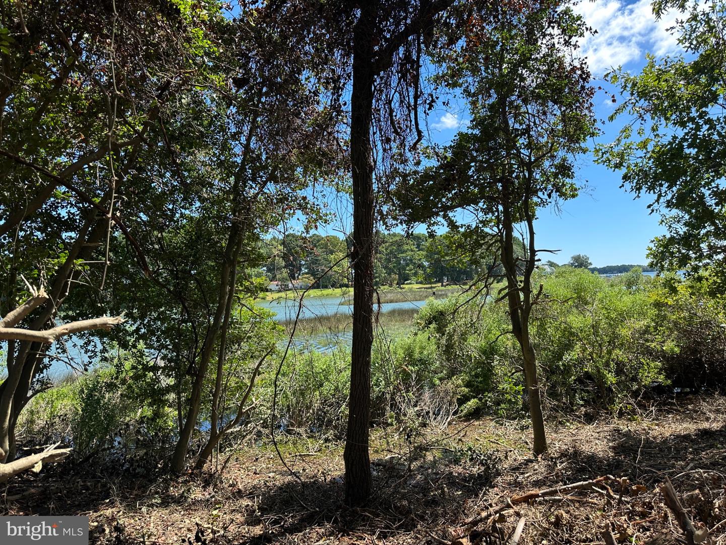 LOT 28 TWIN COVE, HEATHSVILLE, Virginia 22473, ,Land,For sale,LOT 28 TWIN COVE,VANV2001730 MLS # VANV2001730