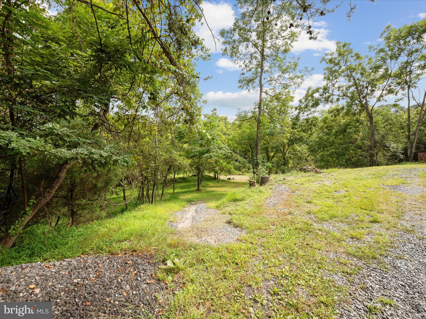 155 BLACKBERRY LN, GORE, Virginia 22637, 3 Bedrooms Bedrooms, ,3 BathroomsBathrooms,Residential,For sale,155 BLACKBERRY LN,VAFV2034488 MLS # VAFV2034488